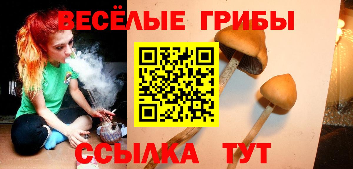 Галлюциногенные грибы прущие грибы Кулебаки